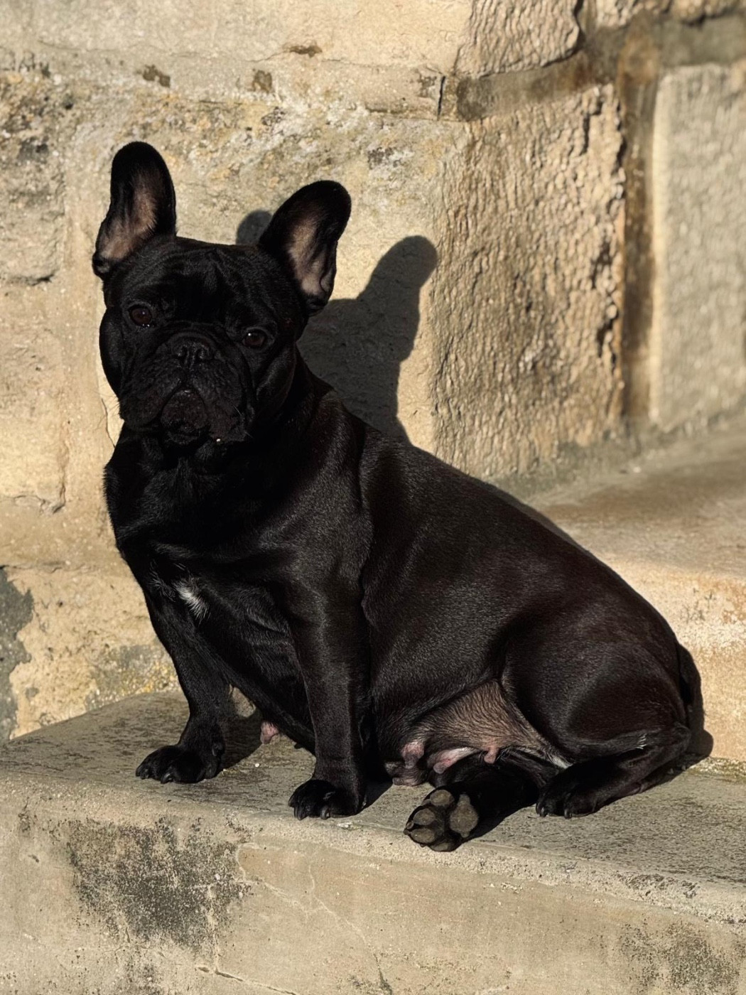 Ulana  Of Bully's Leine